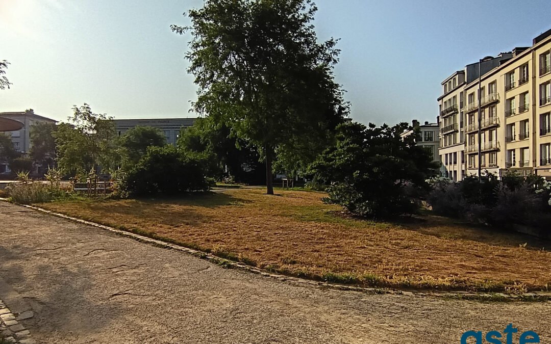 Brest – Triangle d’Or / Place Wilson