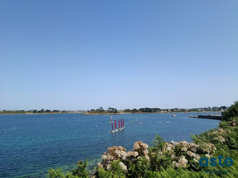 17847264471_VM347_27_original.jpg